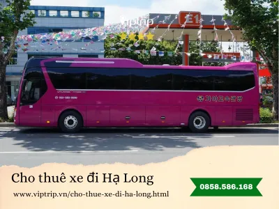 Cho thuê xe đi Hạ Long
