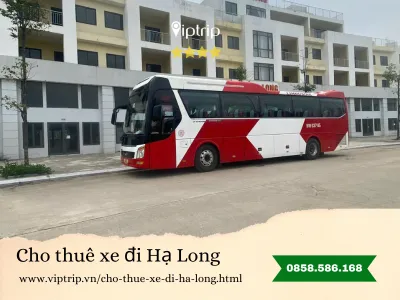 Cho thuê xe đi Hạ Long