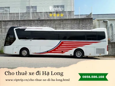 Cho thuê xe đi Hạ Long