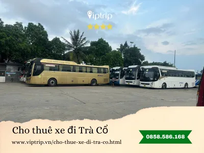 Cho thuê xe du lịch đi Trà Cổ