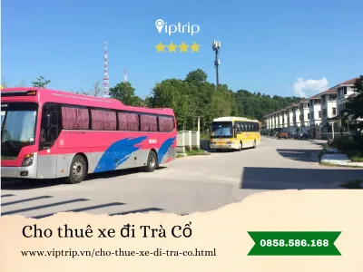 Cho thuê xe du lịch đi Trà Cổ - Móng Cái