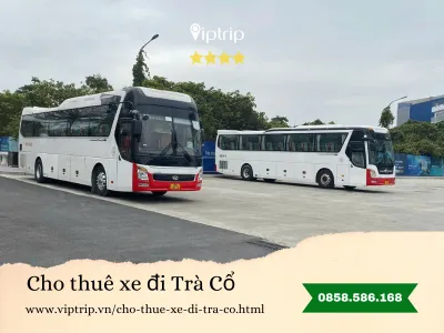 Cho thuê xe du lịch đi Trà Cổ