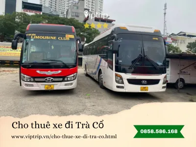 Cho thuê xe du lịch đi Trà Cổ