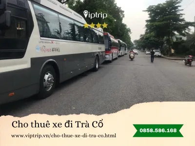 Cho thuê xe du lịch đi Trà Cổ