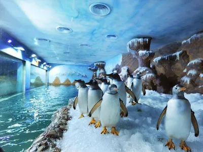 Đặt vé Vinwonder Phú Quốc online giá rẻ