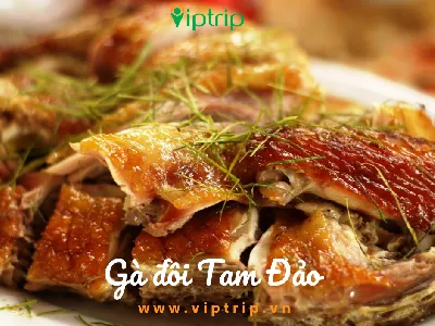 Nhà hàng ngon tại Tam Đảo