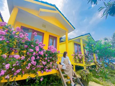 Đặt phòng May Home Tà Xùa homestay