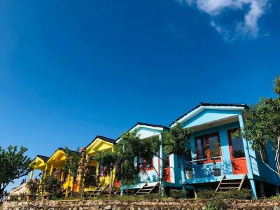 Đặt phòng May Home Tà Xùa homestay