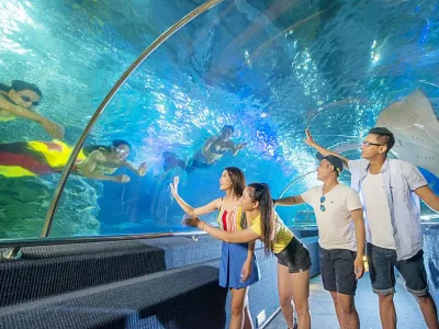 Đặt vé Vinwonder Phú Quốc online giá rẻ