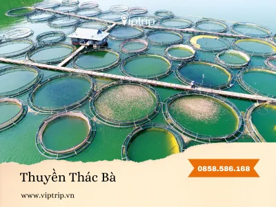 Thuê thuyền du lịch Hồ Thác Bà