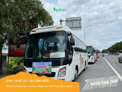 Cho thuê xe tại Côn Đảo