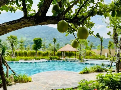 Đặt phòng apec Mandala Retreats Kim Bôi