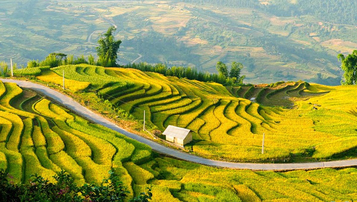 dong-lua-hoang-su-phi