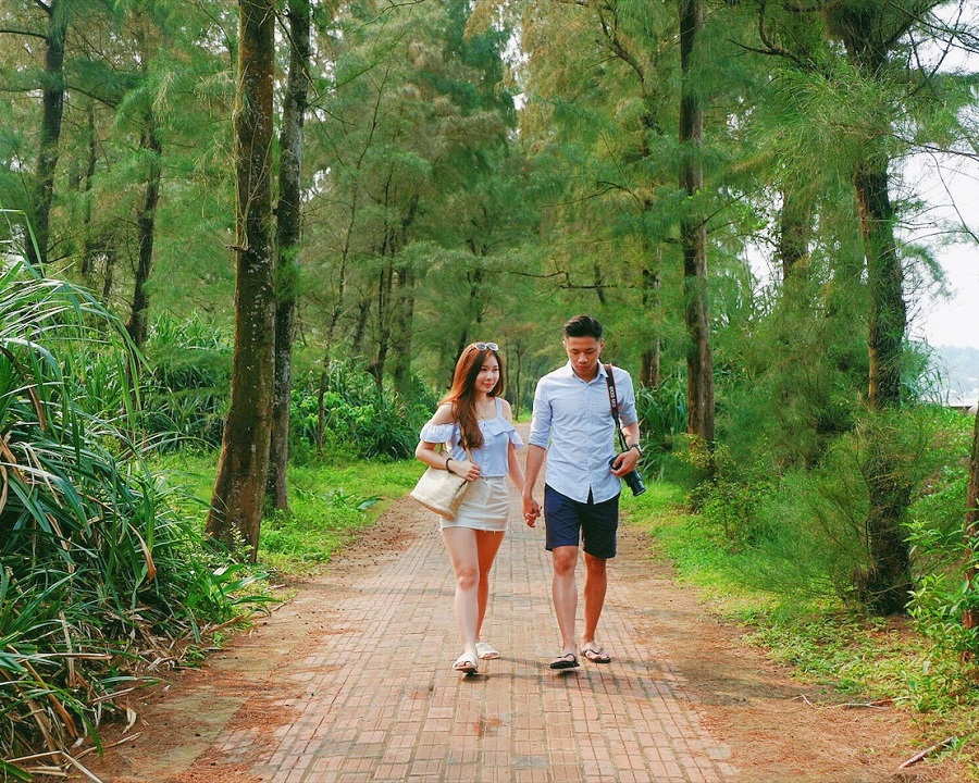 duong-tinh-yeu-co-to