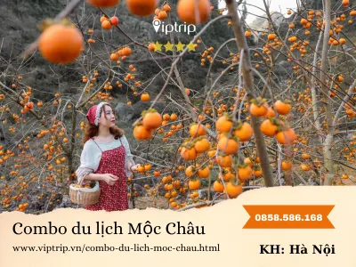Combo du lịch Mộc Châu từ Hà Nội