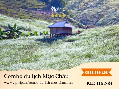 Combo du lịch Mộc Châu từ Hà Nội