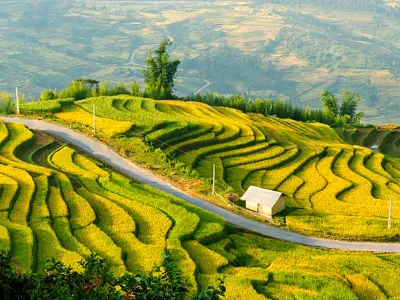 Tour Hoàng Su Phì 3 ngày 2 đêm