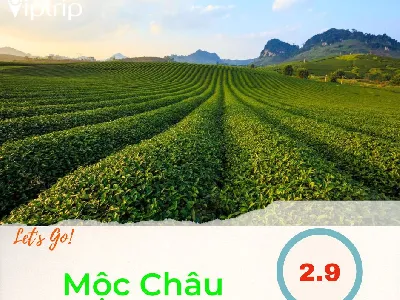 Tour du lịch Mộc Châu dịp lễ 2.9.2023