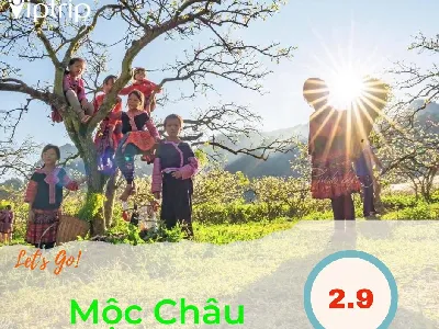 Tour du lịch Mộc Châu dịp lễ 2.9.2023