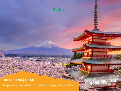Tour Nhật Bản 5 ngày 4 đêm