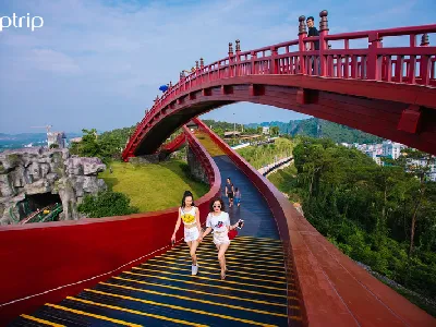 Tour Hạ Long xem show Mỹ Tâm