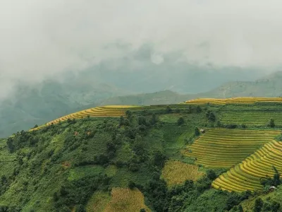 Tour Tà Xùa 2 ngày 1 đêm