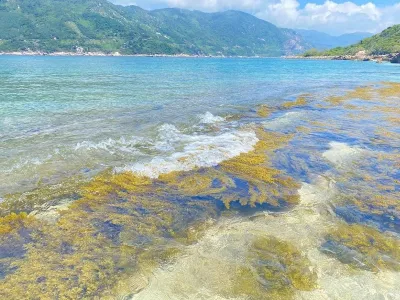 Tour Phú Yên 3 ngày 2 đêm