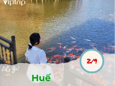 Tour du lịch Huế 2 ngày 3 đêm dịp lễ 2.9.2024