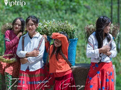 Tour Hà Giang 3 ngày 2 đêm