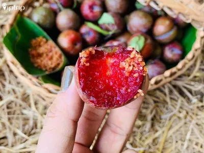 Tour học sinh đi Mộc Châu 2 ngày 1 đêm