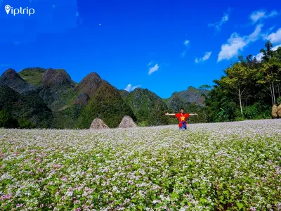 Tour Hà Giang 3 ngày 2 đêm