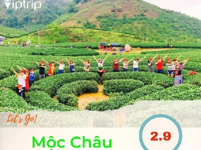 Tour du lịch Mộc Châu dịp lễ 2.9.2023