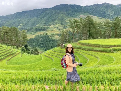 Tour Mù Cang Chải 3 ngày 2 đêm