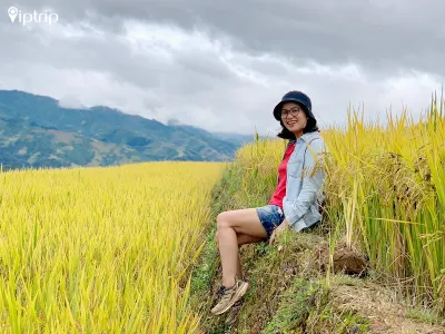 Tour Mù Cang Chải 3 ngày 2 đêm