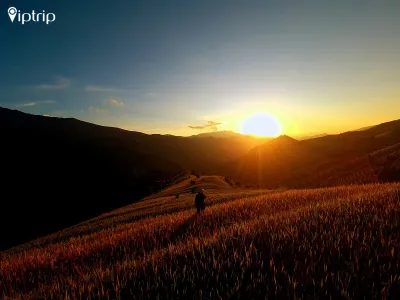 Tour Mù Cang Chải 2 ngày 1 đêm