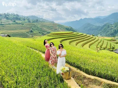 Tour Mù Cang Chải 3 ngày 2 đêm