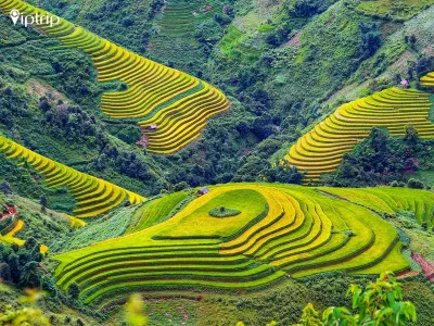 Tour Mù Cang Chải 3 ngày 2 đêm