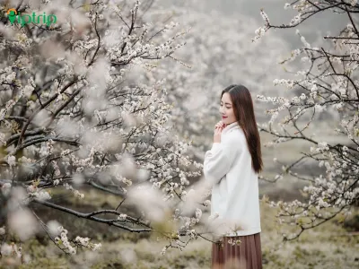 Tour Na Hang 2 ngày 1 đêm