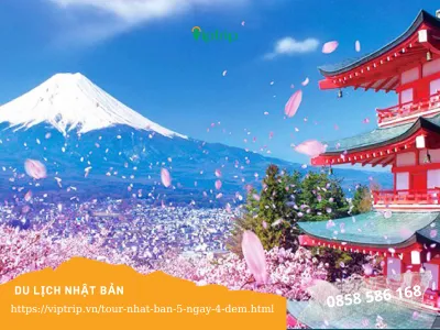 Tour Nhật Bản 5 ngày 4 đêm