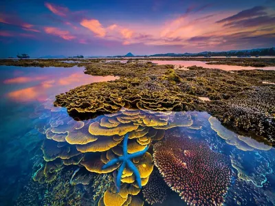 Tour Phú Yên 3 ngày 2 đêm