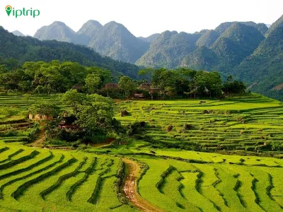 Tour Pù Luông 2 ngày 1 đêm