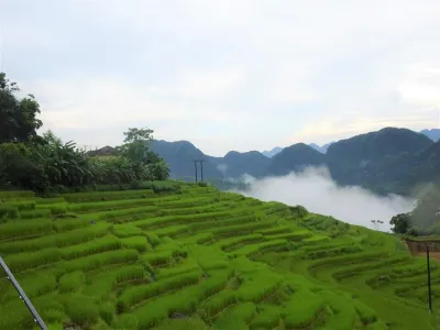 Du lịch tết 2024: Tour Pù Luông 2 ngày 1 đêm