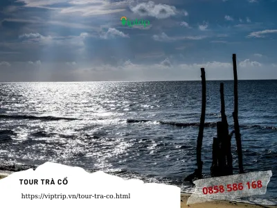 tour-du-lich--bien-tra-co-tet-2024