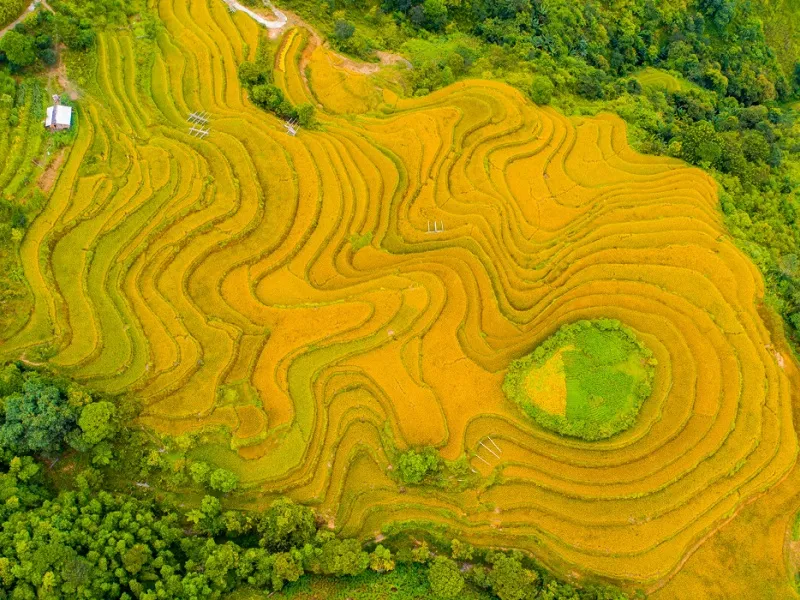 Tour Hoàng Su Phì 3 ngày 2 đêm