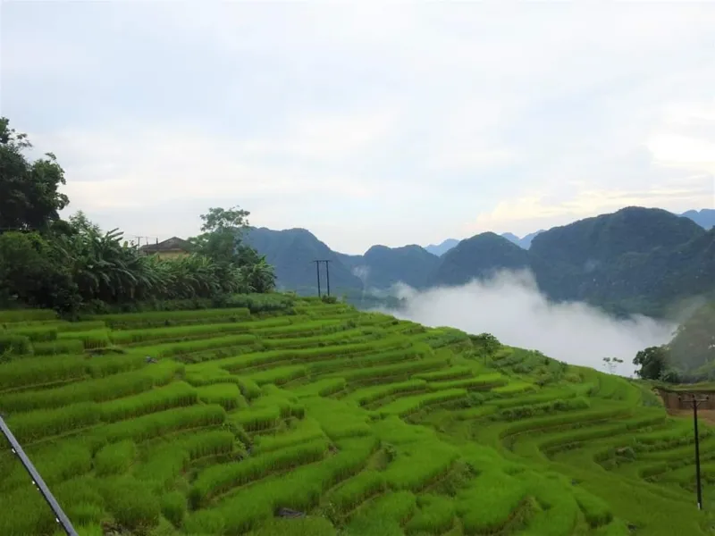 Du lịch tết 2024: Tour Pù Luông 2 ngày 1 đêm